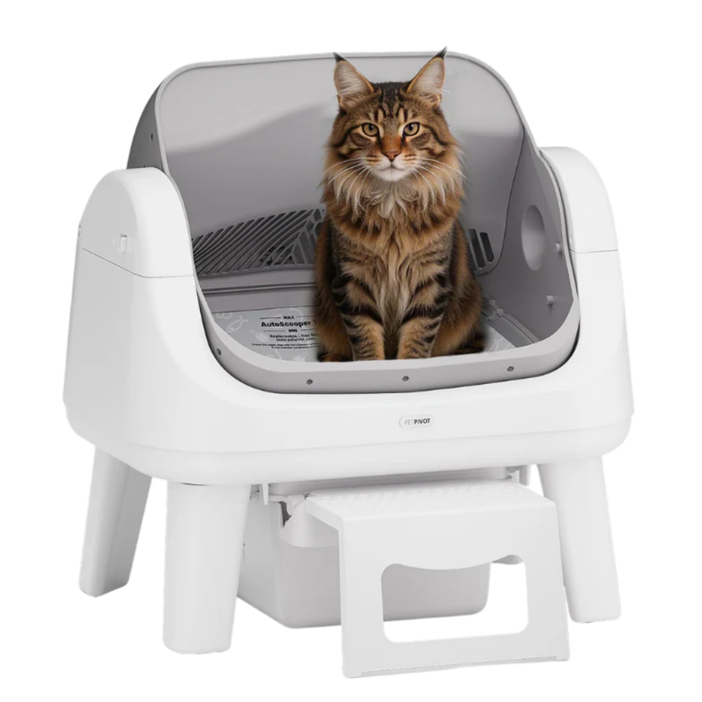 KittyScooper 12 Lite automatic cat litter box